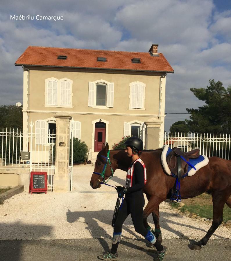 Bed and Breakfast Maébrilu Camargue Provence à Salin-de-Giraud Extérieur photo